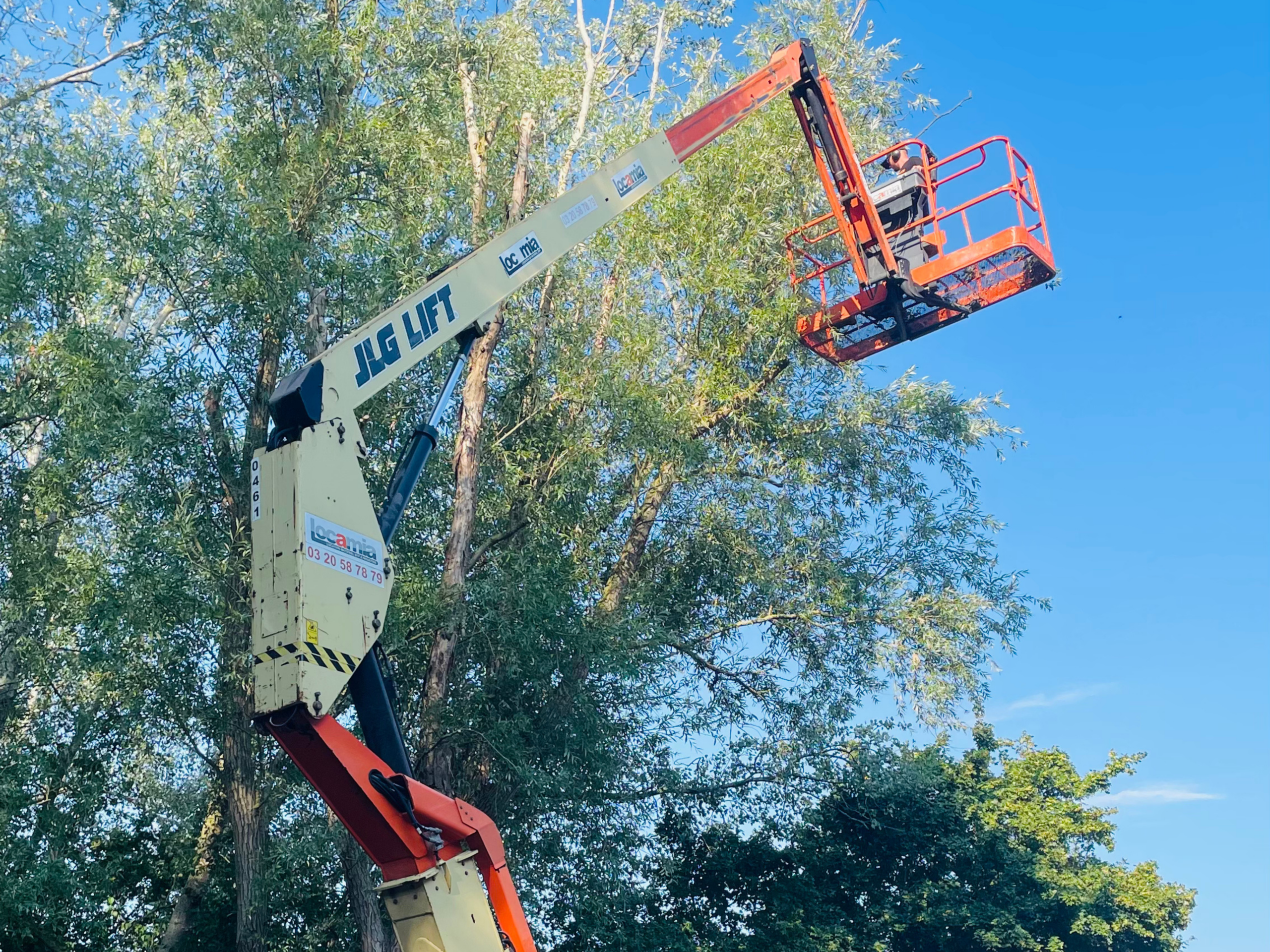 Élagueur en nacelle face à la cime d’un arbre à abattre