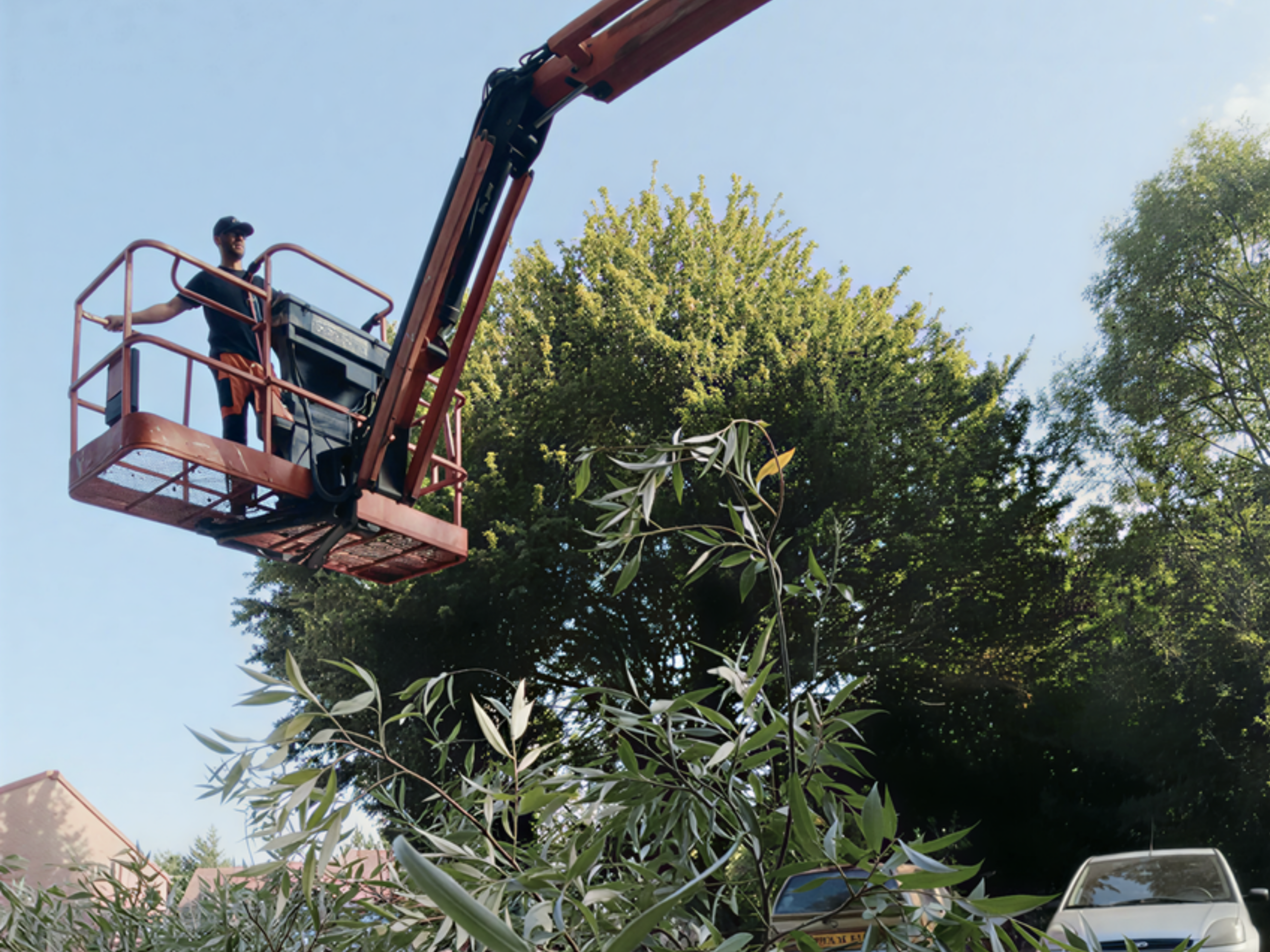 Démontage d’un saule en nacelle articulée au-dessus d’un parking